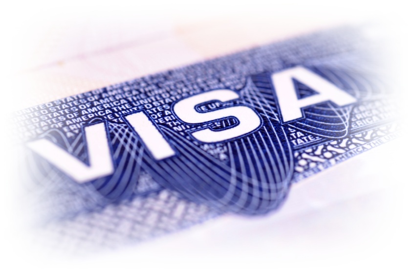 American Visa (XL)