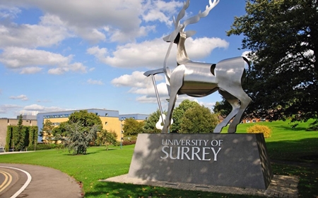 6 University of Surrey
