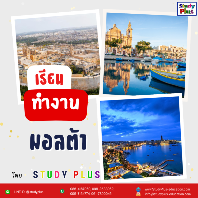 เรียนและทำงานที่มอลต้า